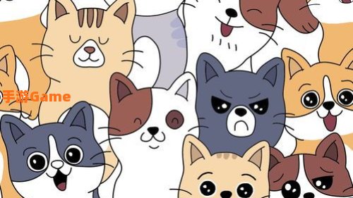 动漫猫